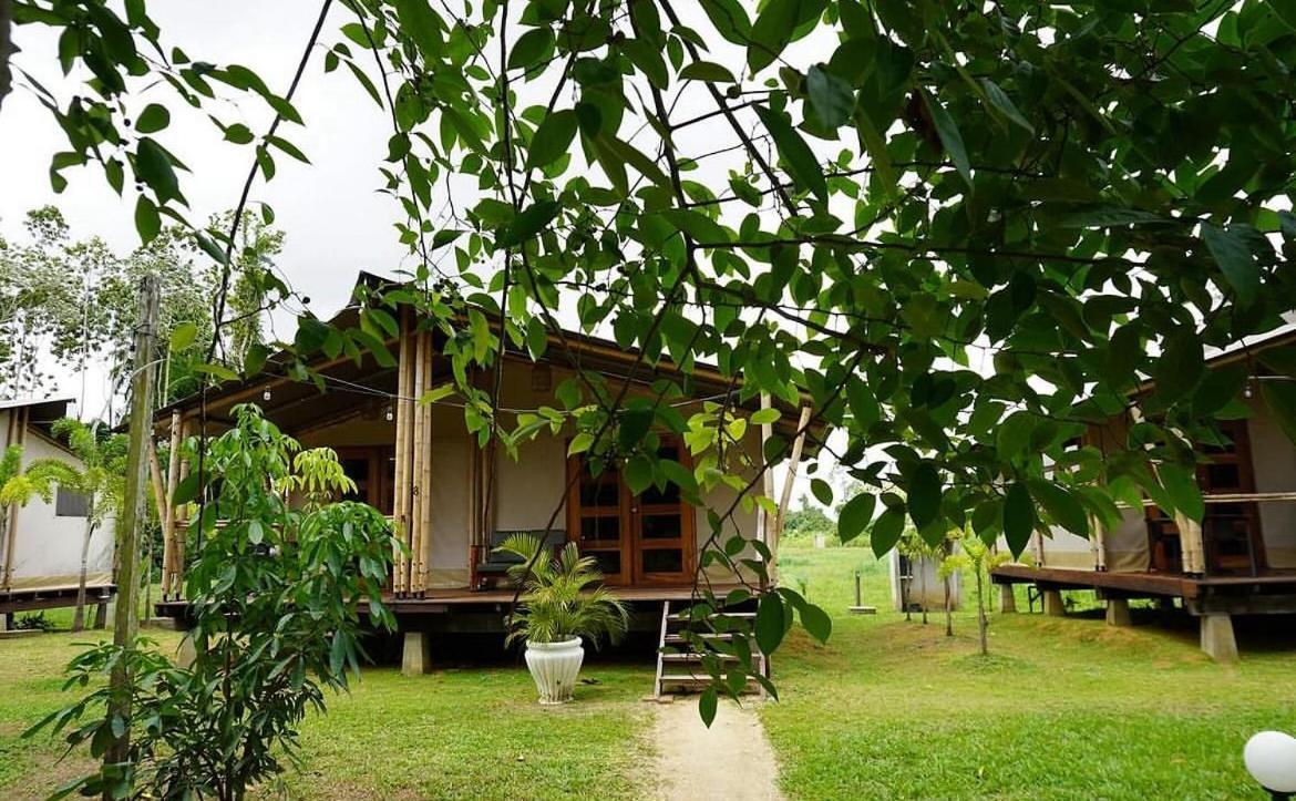 Houttuyn Wellness River Resort Paramaribo Dış mekan fotoğraf