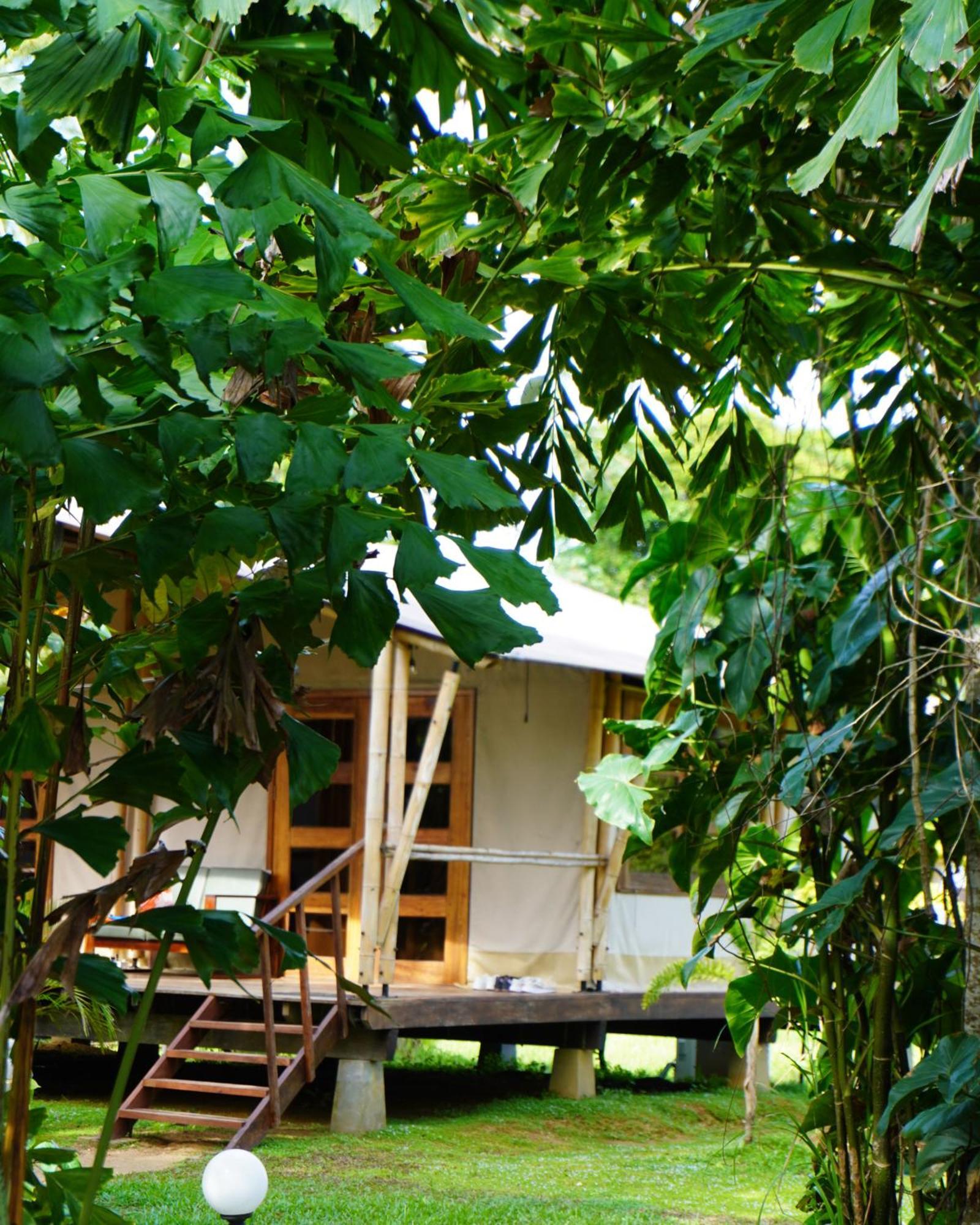 Houttuyn Wellness River Resort Paramaribo Dış mekan fotoğraf